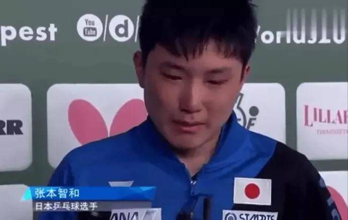 张本智和：国籍选择背后的文化撕裂与身份困境